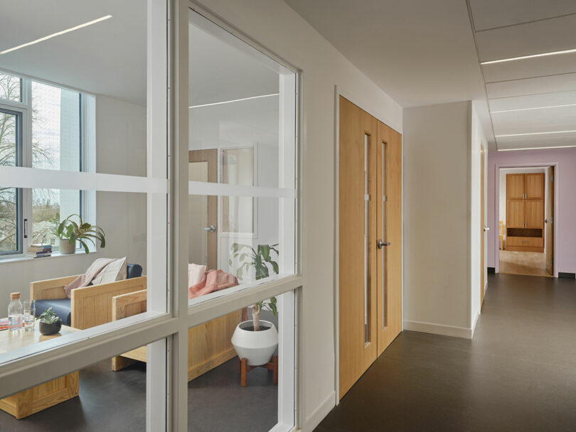 A modern office hallway with wooden doors, large interior windows, potted plants, and natural light entering through exterior windows.