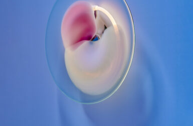 studio Thier & van Daalen Present BLOOM as an Exercise in Color