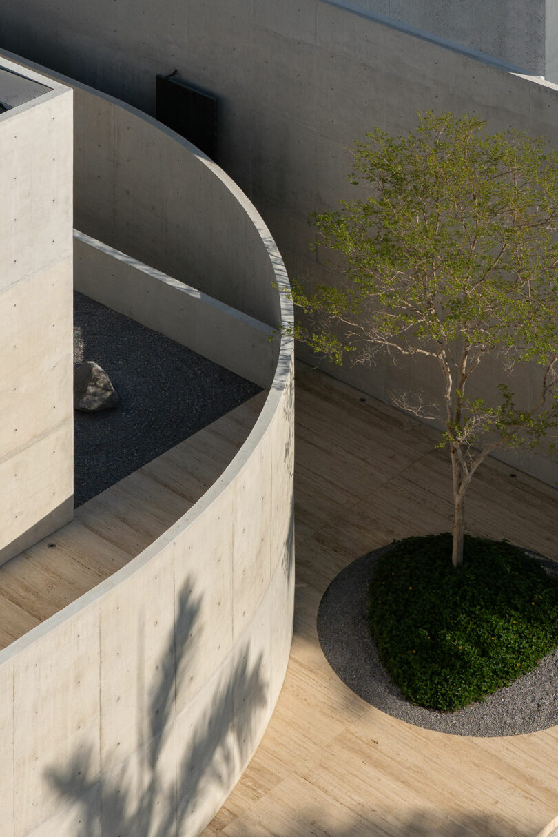 A minimalist concrete building with curved walls, a gravel section with a large rock, and a small tree planted in a circular patch of greenery.