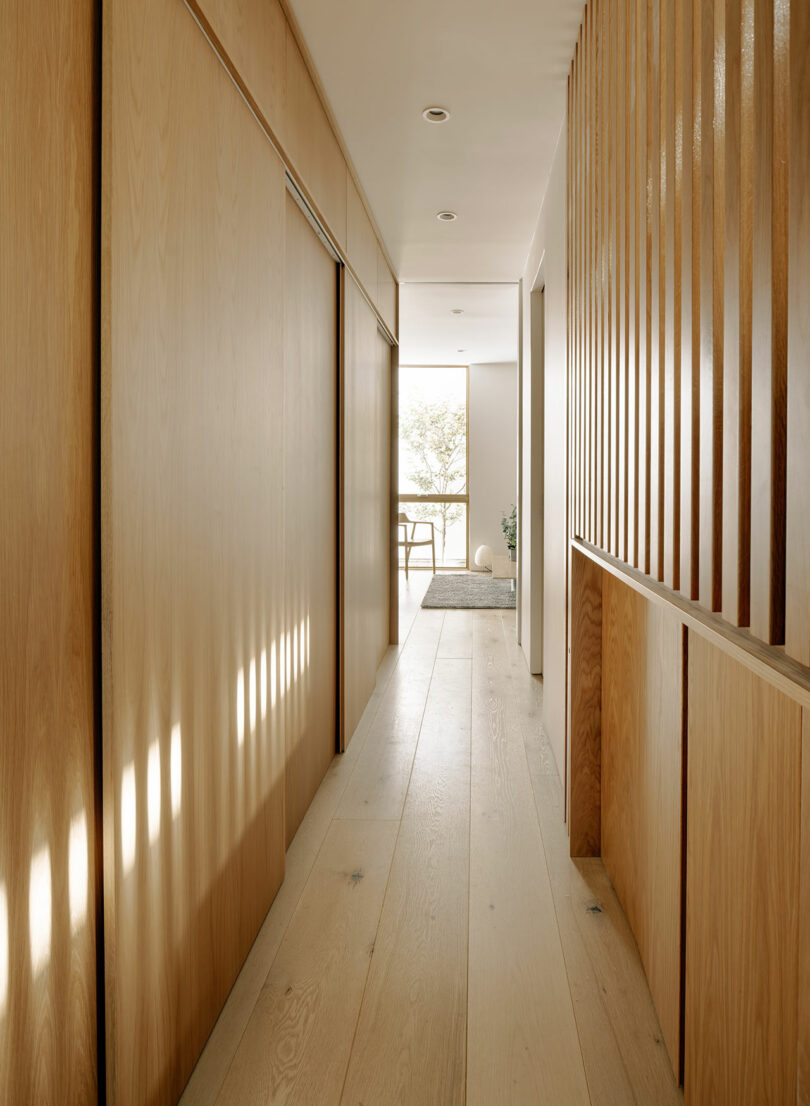 A modern hallway with light wood floors and walls, vertical wooden slats on the right, and natural light streaming from a bright room at the end.
