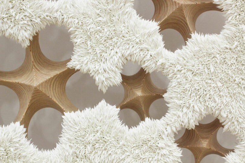 White oil paint resembles fur or grass on carved plywood surface