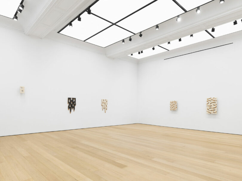 5 monochromatic paintings in gallery space