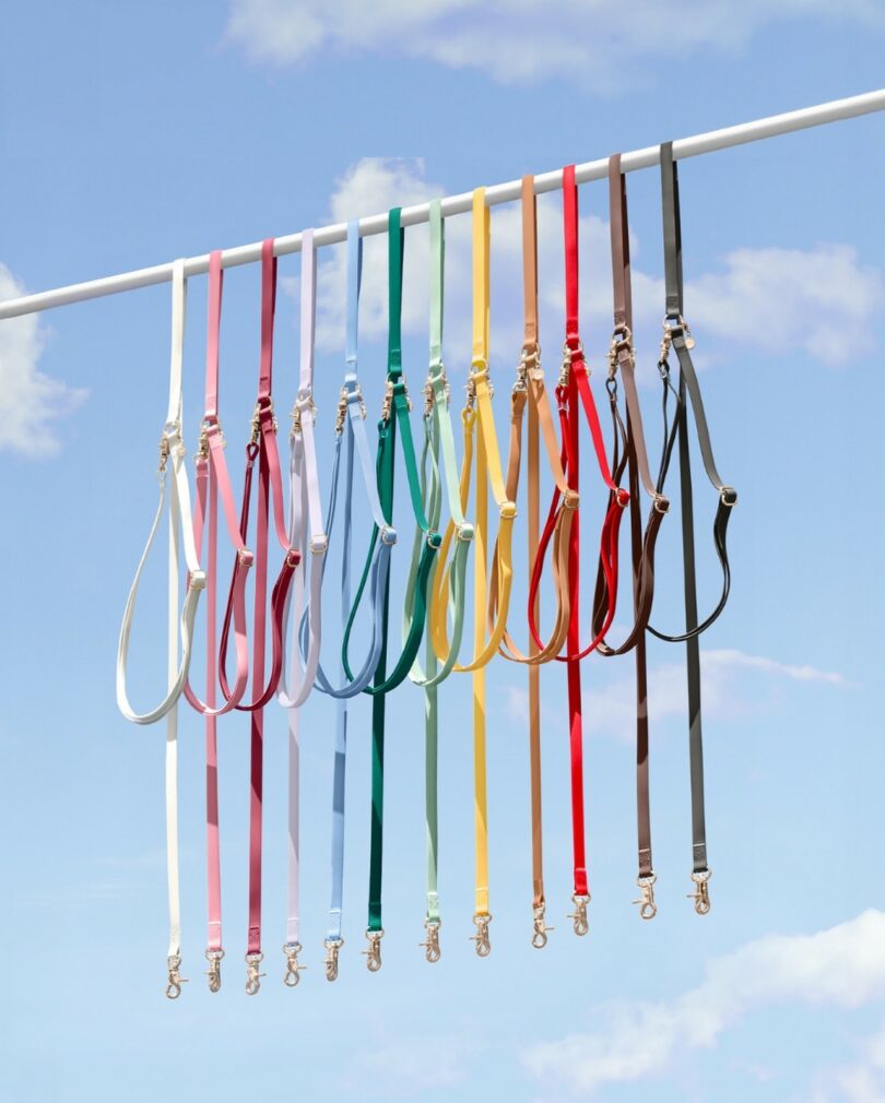 A row of colorful dog leashes hangs from a white rod against a blue sky with clouds